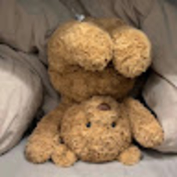 teddy2222666